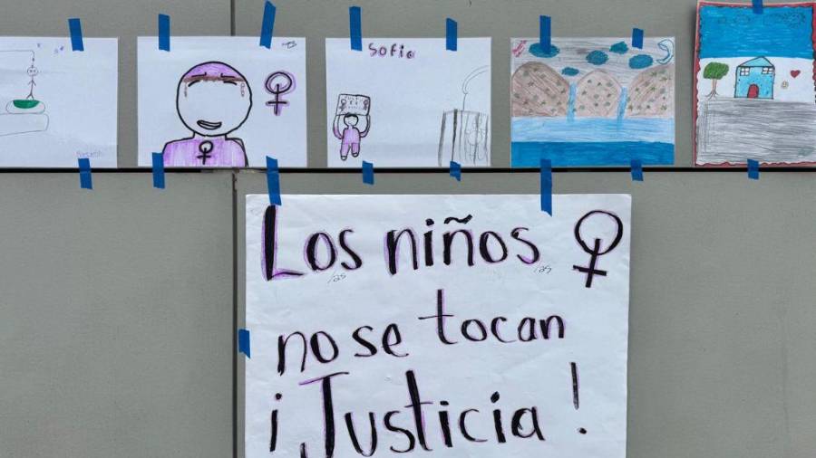 Activistas señalaron que la autoridad judicial no valoró adecuadamente diversos elementos de prueba presentados.
