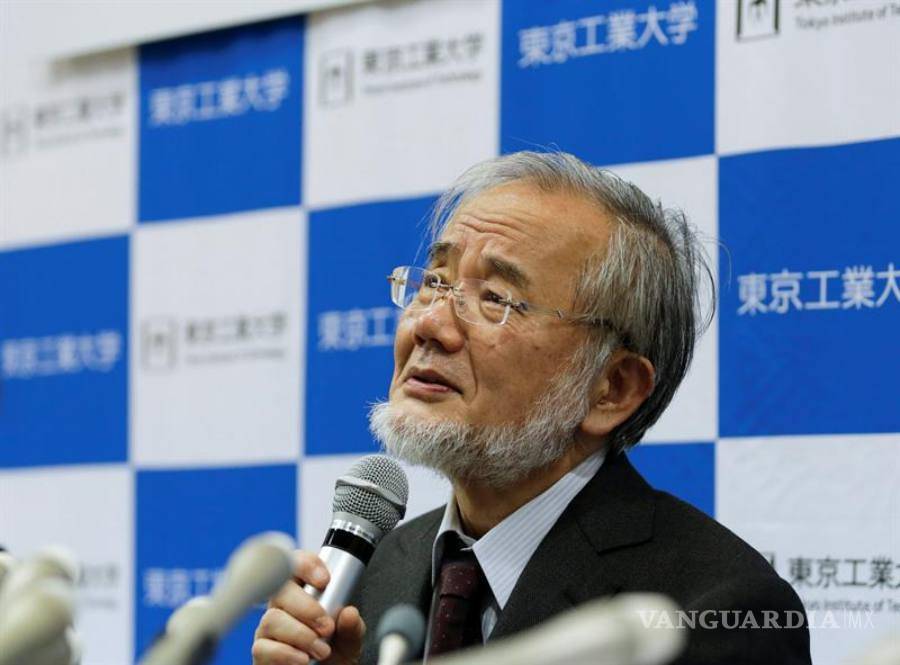 $!Ohsumi, un investigador revolucionario