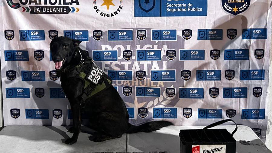 Un perro entrenado alertó sobre la droga que se encontraba en el vehículo.