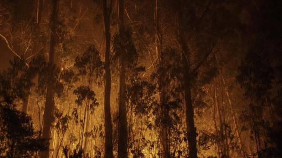 Al menos 12 personas murieron en el incendio que se propagó rápidamente por Almería.