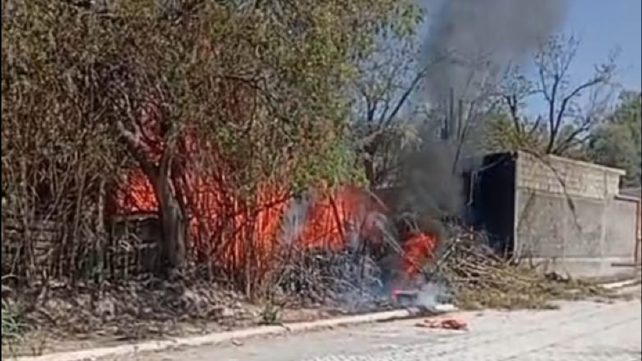 Autoridades investigan si los siniestros fueron provocados de manera intencional.