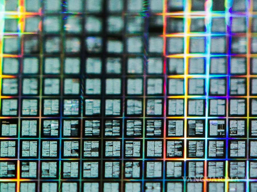 $!Una nave espacial israelí se estrella en la luna, ¡y ahora hay miles de tardígrados por todos lados!