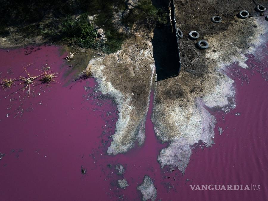 $!Contaminación pinta de color púrpura a la laguna Cerro en Paraguay