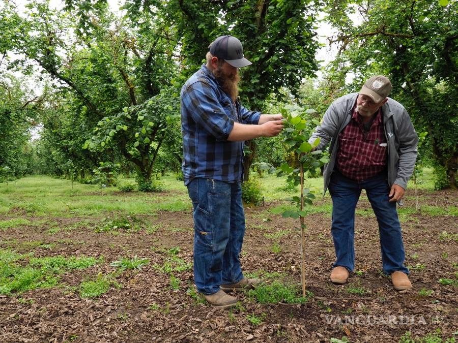 $!Estos son los 10 trabajos más peligrosos en EU