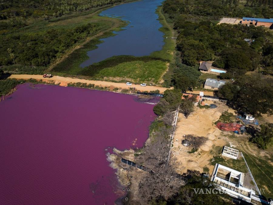 $!Contaminación pinta de color púrpura a la laguna Cerro en Paraguay