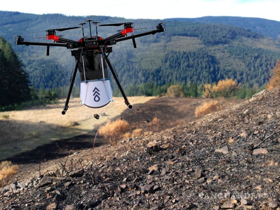 $!La empresa Flash Forest quiere sembrar mil millones de árboles en Canadá usando drones
