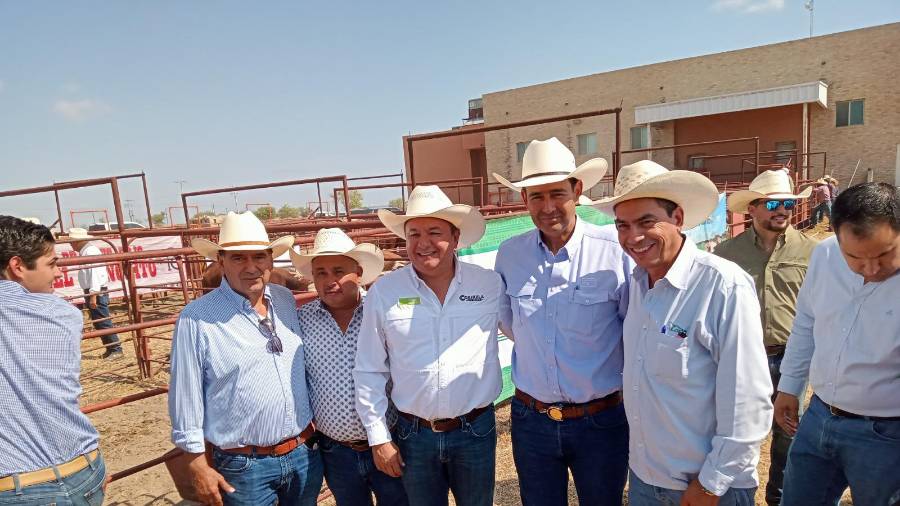 Los productores ganaderos de Coahuila confían en que pronto se abra la frontera del Estado para la exportación hacia Estados Unidos.