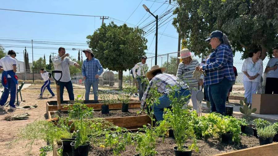 La temporada de poda libre busca mejorar la salud del arbolado urbano y promover el mantenimiento responsable.