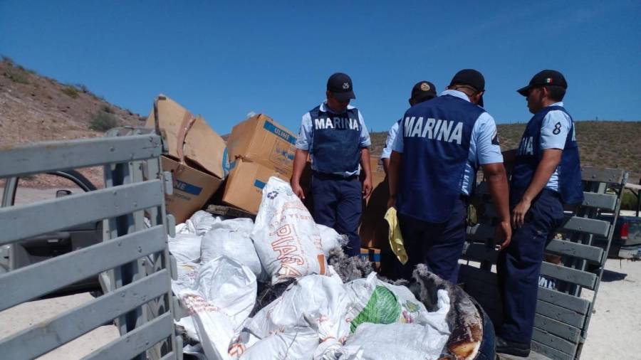 Buzos de la organización Mar Libre recuperaron también un ancla y una moto acuática quemada.