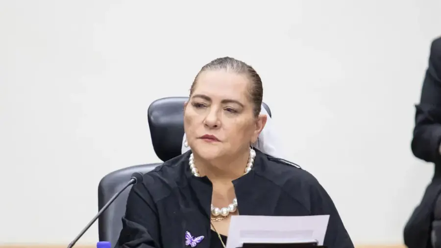 El reciente escándalo que sacude al Instituto Nacional Electoral (INE) a raíz de filtraciones originadas en el teléfono de un proveedor cercano a Guadalupe Taddei.
