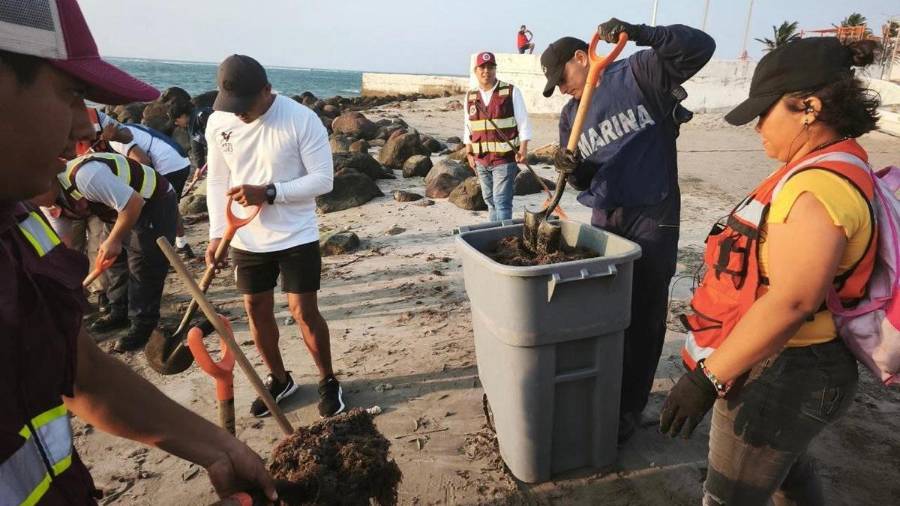 Se activaron brigadas de limpieza en playas con apoyo de pescadores, autoridades locales y comunidades de la región.
