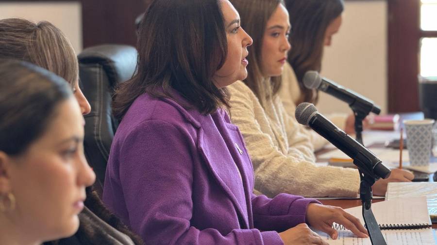 Coahuila armonizará ley de violencia vicaria: tras caso Estela, buscan que aplique exclusivamente a mujeres