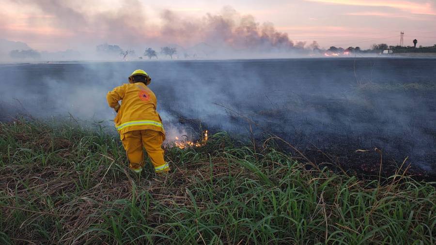 Autoridades estatales informaron que 85% de los 315 incendios registrados en 24 horas ocurrieron en baldíos y pastizales de Nuevo León.