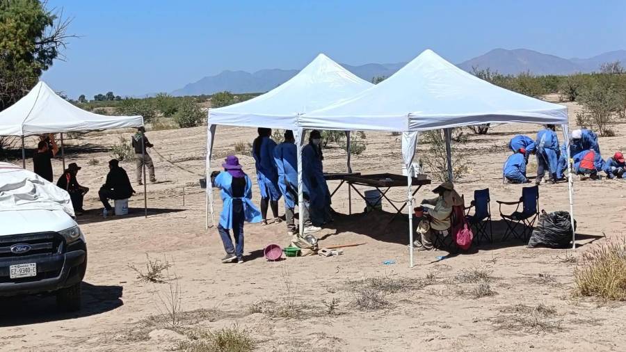 “En Coahuila no encontramos cuerpos completos como en otros estados. Aquí son fragmentos quemados”, sentención integrante del colectivo.