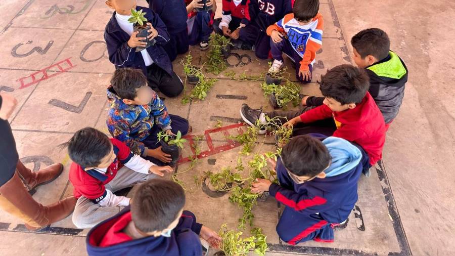 Niñas y niños participaron en talleres de germinación dentro de las brigadas ambientales.