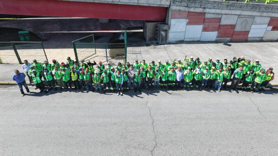 Brigadas intervienen áreas verdes con acciones de limpieza, mantenimiento y poda de palmas.