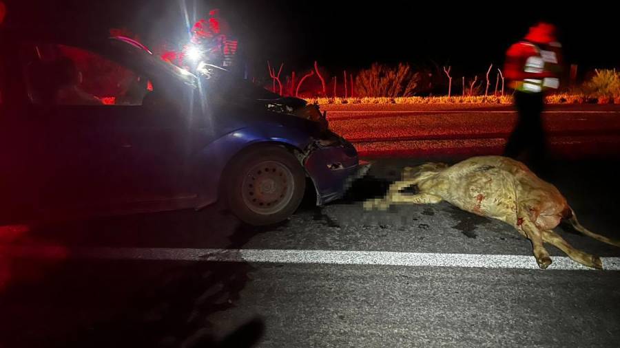 Elementos del cuerpo de Bomberos acudieron al sitio del accidente para brindar atención prehospitalaria a la conductora, quien logró salir por su propio pie tras el impacto.
