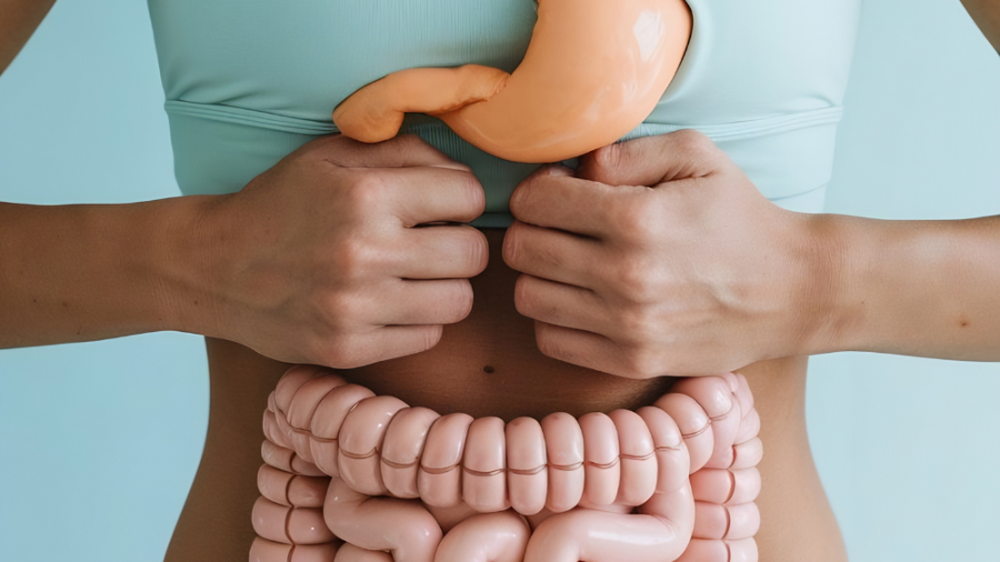 Muchos factores pueden desequilibrar este delicado ecosistema, conduciendo a problemas digestivos.