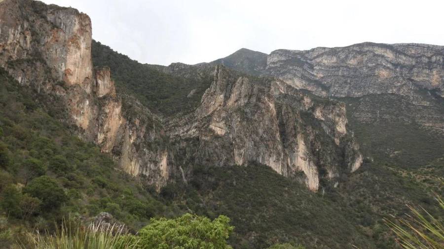 La Sierra de Zapalinamé cumplirá 30 años como reserva estatal, aniversario que será conmemorado con una mesa de diálogo sobre su conservación y manejo.