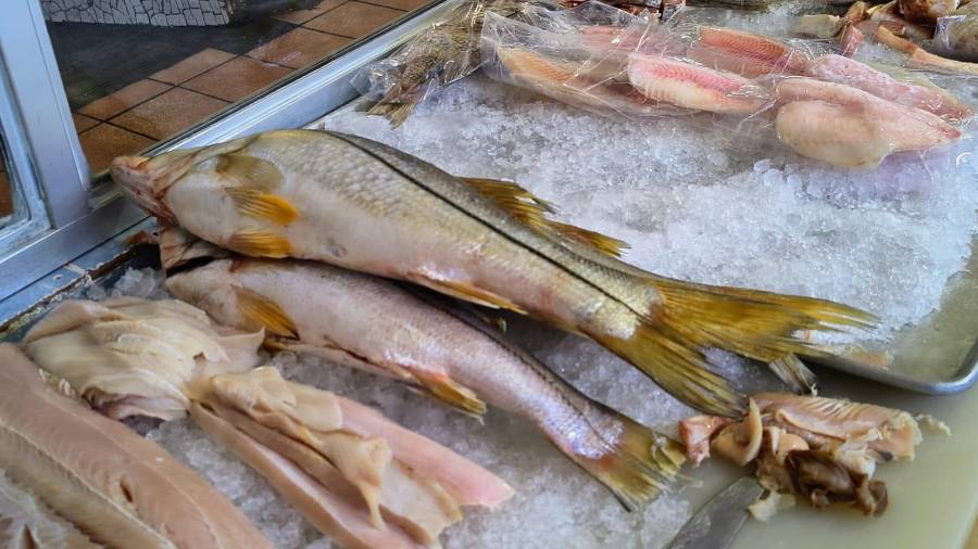 Ofertas de mariscos en comercios locales, buscan atraer a clientes que priorizan precios accesibles durante la temporada de Cuaresma.