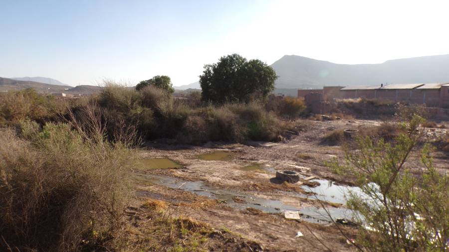 Además de la sequía, los vecinos deben convivir con el humo de ladrilleras y descargas de aguas negras en el arroyo.