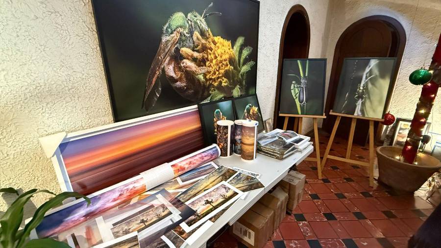 Daniel Bates Hurtado abre su estudio con fotografías de los bosques y desiertos de Coahuila