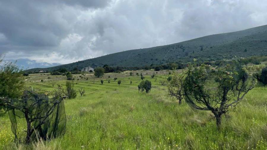 El municipio iniciará la elaboración del POET y la actualización del Atlas de Riesgo para regular el desarrollo en la zona serrana.