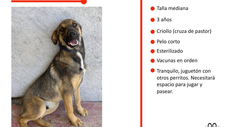 Lo que hay detrás del aparador