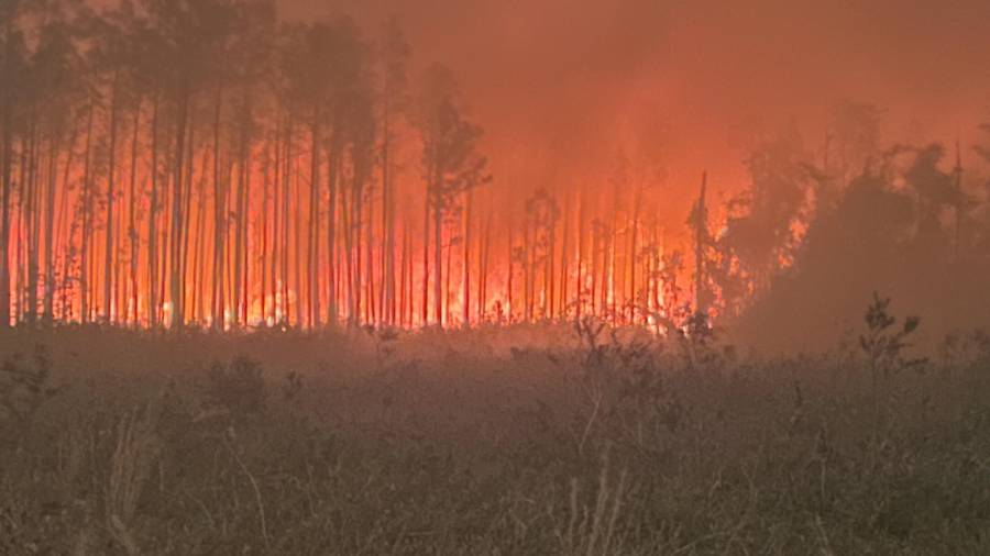 EL incendio de Pineland Road en el condado de Clinch, Georgia. El fuego tuvo una rápida propagación destruyendo más de 120 viviendas.