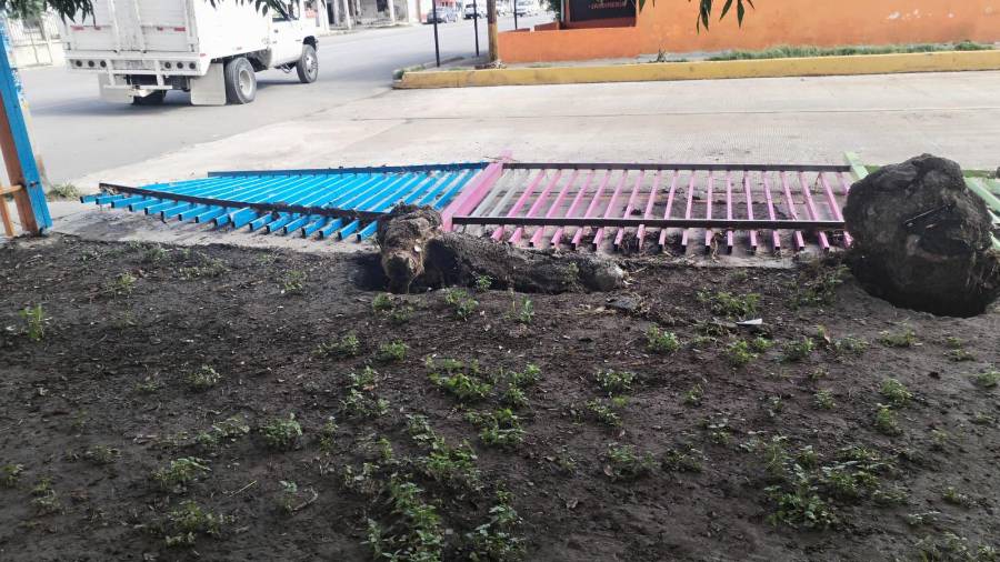 La caída de la barda perimetral obligó a suspender clases presenciales en el plantel para evitar poner en peligro a los alumnos.