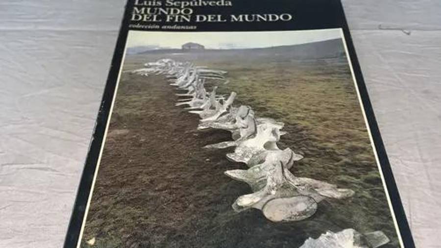 Cuando el mar calla y el hombre mira hacia otro lado