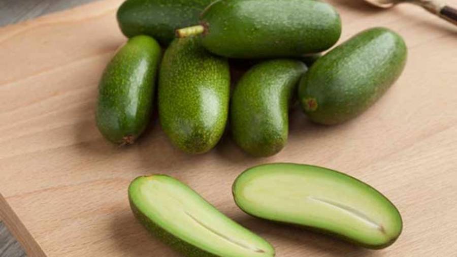 Crean aguacate sin semilla, para los que se quieran ahorrar dos minutos de su tiempo