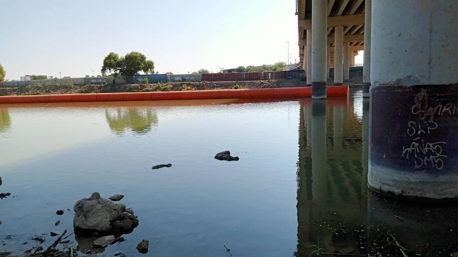 La infraestructura fronteriza podría alterar el flujo del agua y afectar la vegetación y fauna del río Bravo.