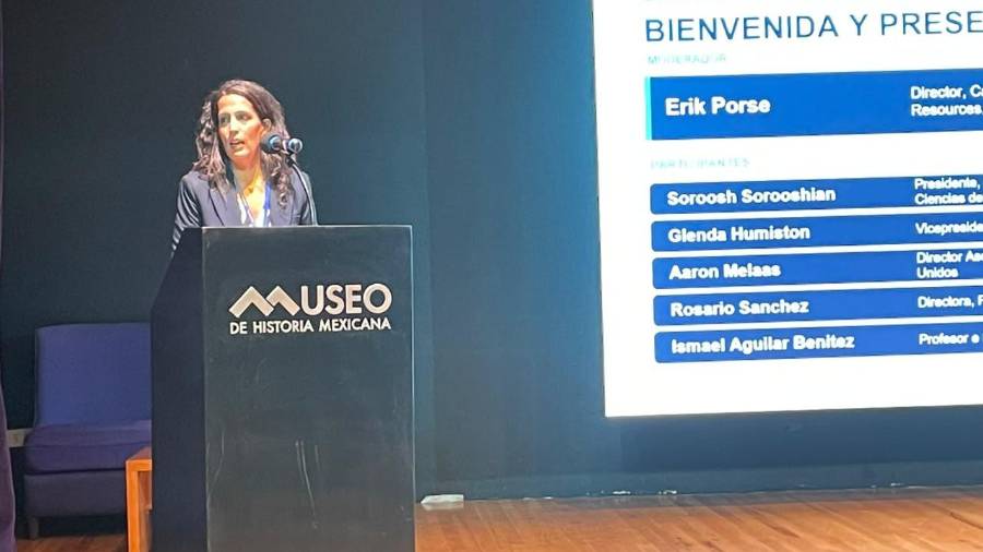 Rosario Sánchez, directora del Foro Permanente de Aguas Binacionales, considera que la deuda es prácticamente impagable debido a las condiciones actuales.