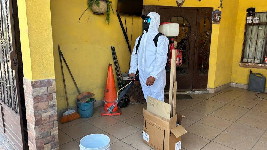 Las autoridades de salud intensifican las acciones de fumigación, luego de darse a conocer la muerte de un menor de ocho años presuntamente a causa de la rickettsia.