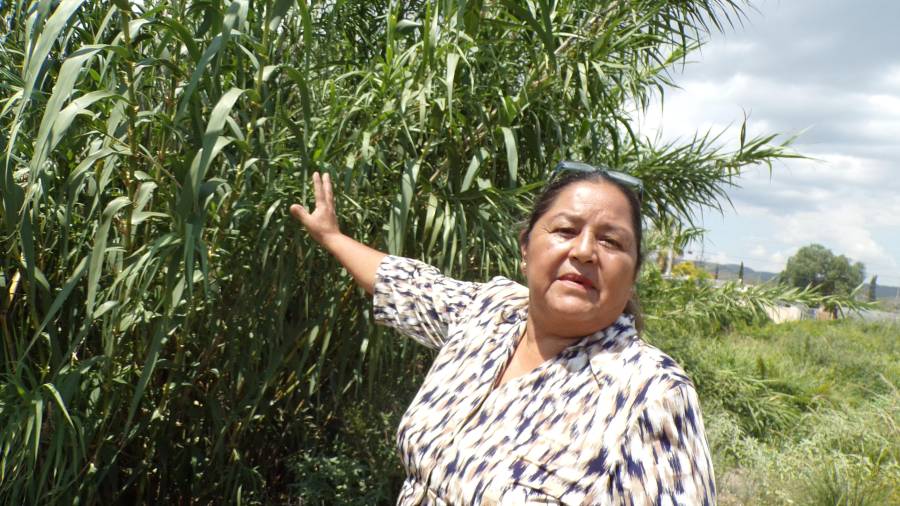 Saltillo: vecina de Puerto de Flores vive bajo el acecho del agua por obra en cauce de arroyo