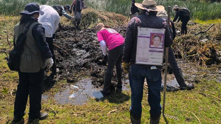 Colectivos solicitaron a la Fiscalía General de Justicia de la Ciudad de México realizar análisis periciales tras los hallazgos en la zona limítrofe con Chalco