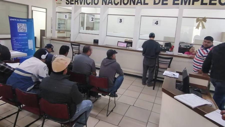 La expansión de la compañía abre vacantes en corte, calidad, materiales y programación.