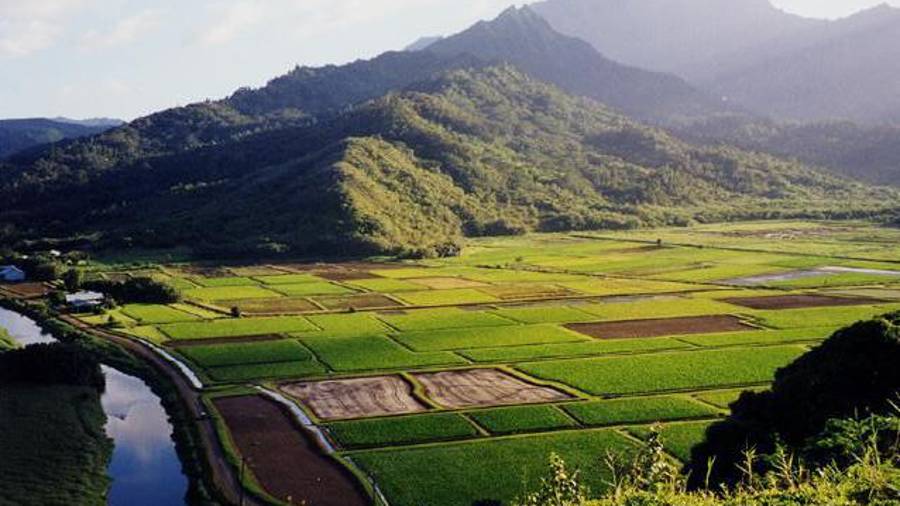 Toys For Tots Brings Hope to Children in Foster Care.