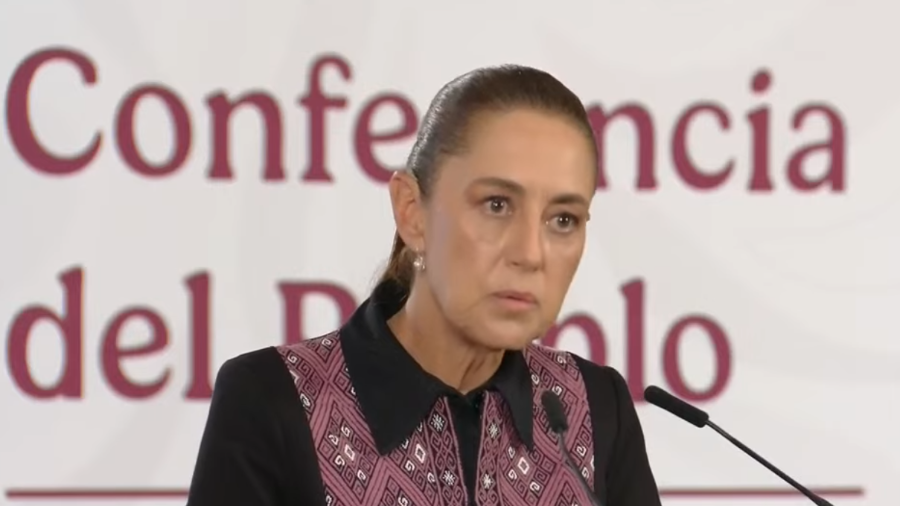 Los aparatos comenzaron a instalarse desde abril en 40 hospitales ubicados en 19 entidades federativas.