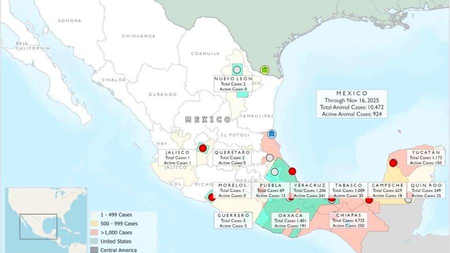 Técnicos aplican medidas de control y liberación de moscas estériles en las zonas afectadas por la plaga de gusano barrenador de ganado.