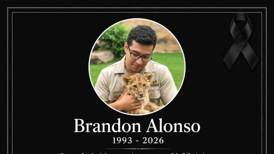 Brandon Alonso Arias falleció en un hospital después de permanecer dos días internado por las lesiones que sufrió en un estacionamiento.