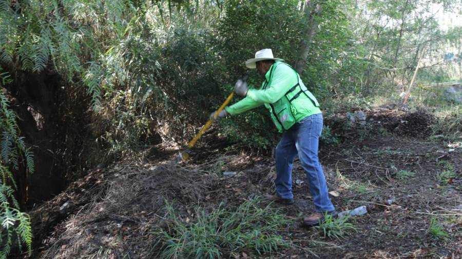 Las acciones responden a peticiones ciudadanas para prevenir riesgos en la vía pública.