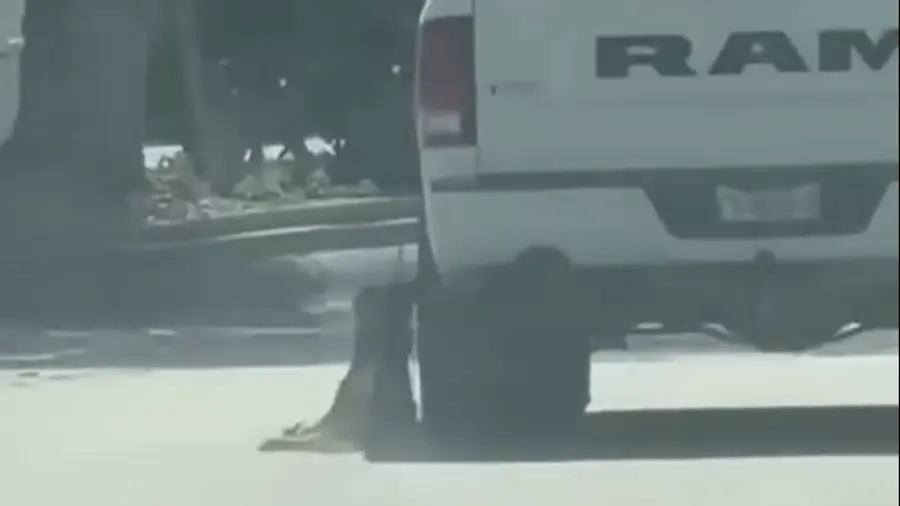 El video de un hombre que aparentemente arrastra a un perro generó indignación en redes sociales de Acuña, Coahuila.