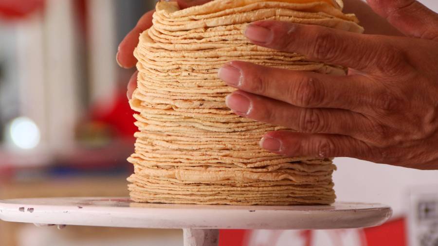El Consejo Nacional de la Tortilla acusó competencia desleal de tortillerías informales que no están reguladas.