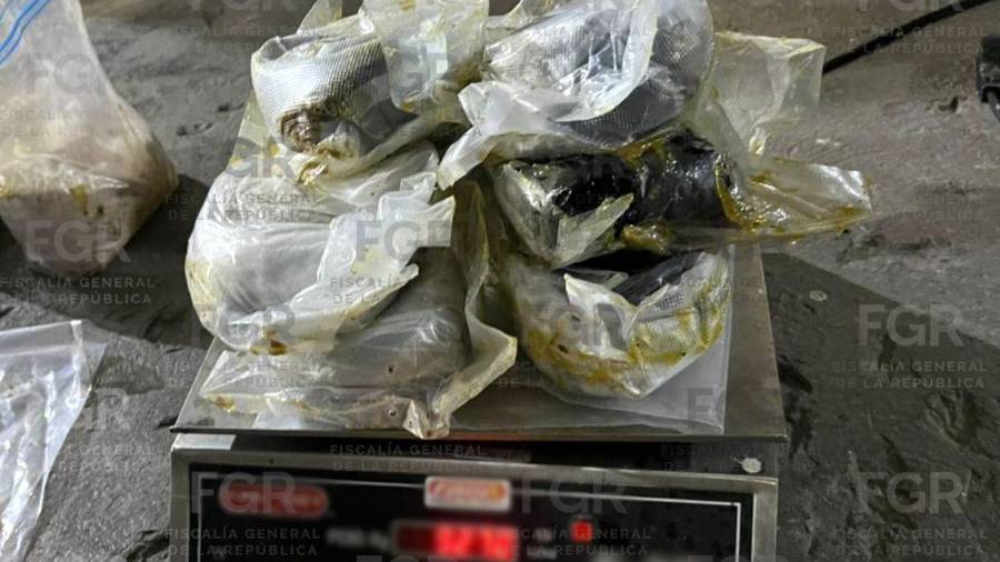 La droga asegurada, con un peso superior a los 11 kilogramos, fue puesta a disposición del Ministerio Público Federal para integrar la carpeta de investigación.