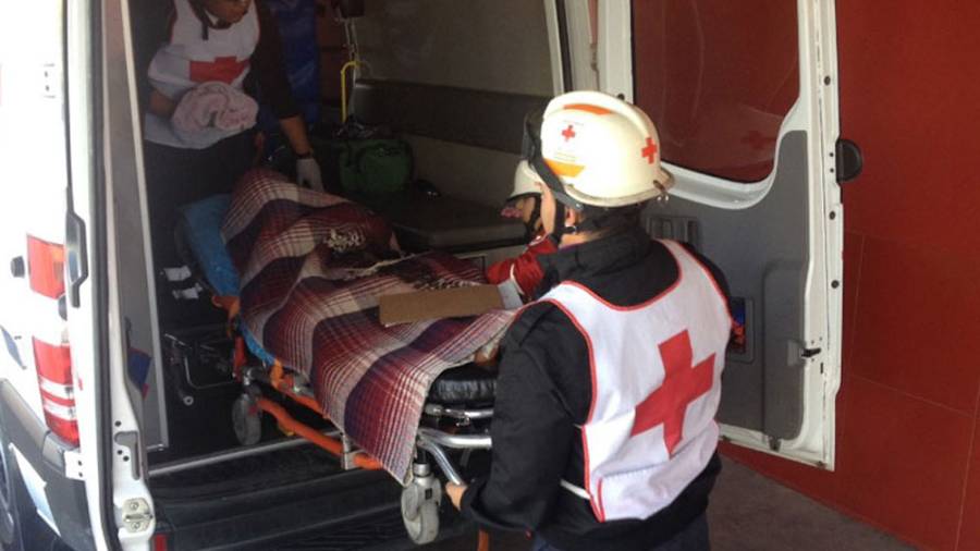 Pelea con su hijo y se suicida en el Día del Padre