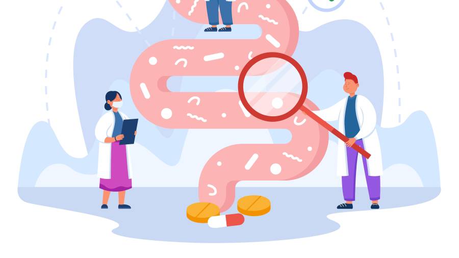 El intestino: Raíz de la salud y la enfermedad