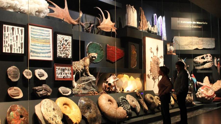 Este miércoles 23 de septiembre, el Museo La Milarca abrirá sus puertas de manera gratuita en el marco del primer aniversario luctuoso del Mauricio Fernández Garza.