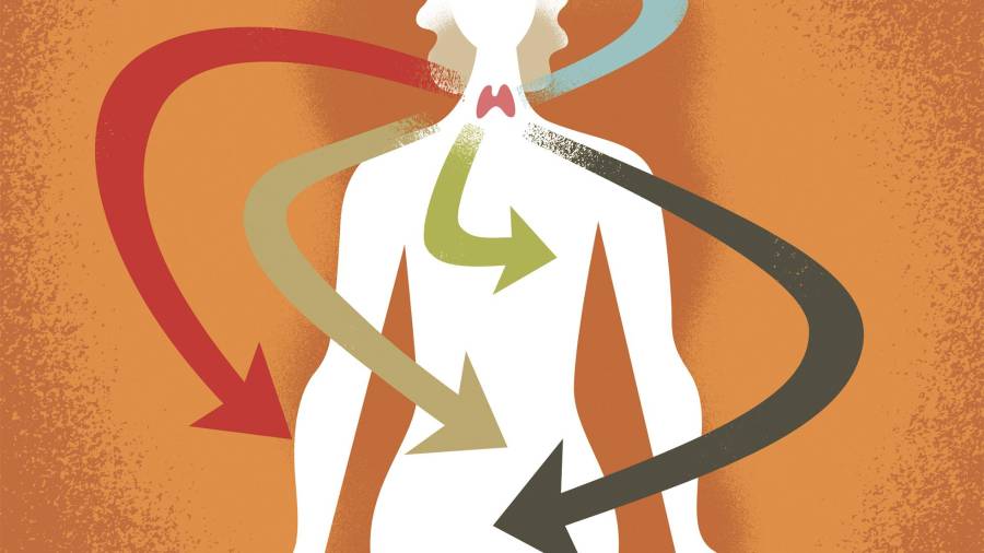 La tiroides es una pequeña glándula ubicada en el cuello, detrás de la laringe.